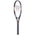Wish Tennis Racket Nano Force893
